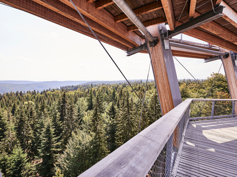 Die Aussicht über grüne Baumwipfel von einem Aussichtsturm im Schwarzwald